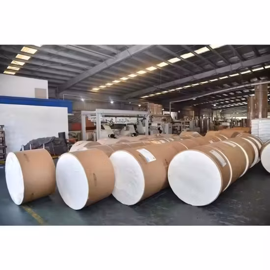 Rollo inferior de vasos de papel para fabricantes de vasos de papel desechables en China